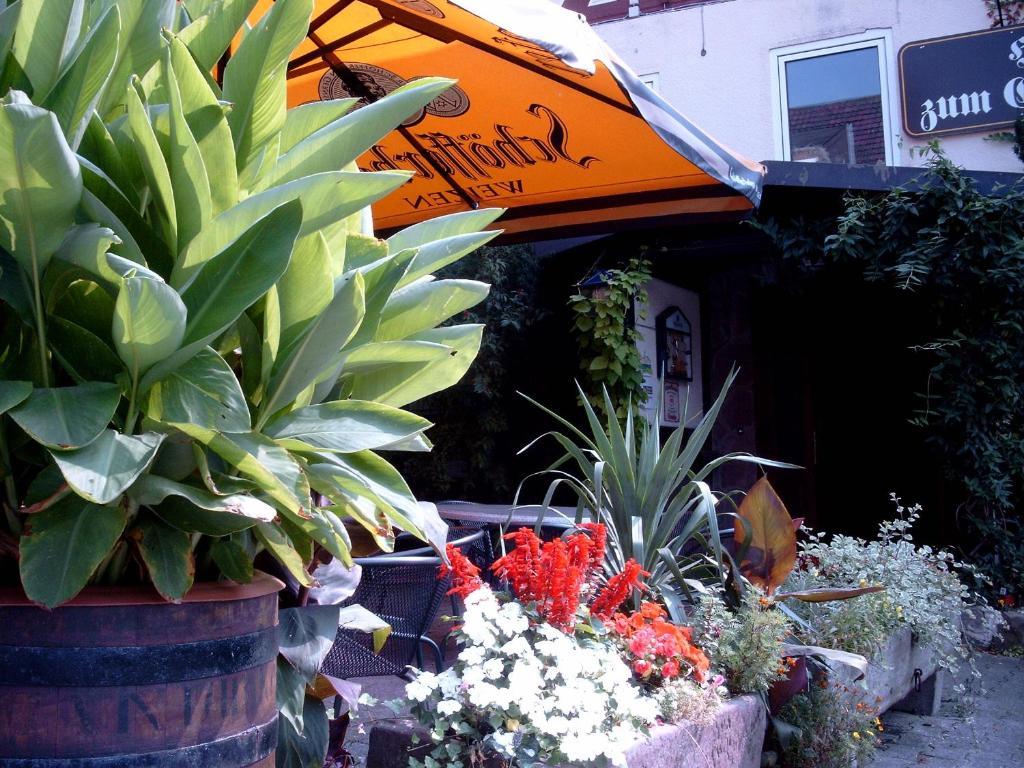 Hotel Fritz'Es Goldener Stern Schauenburg Esterno foto